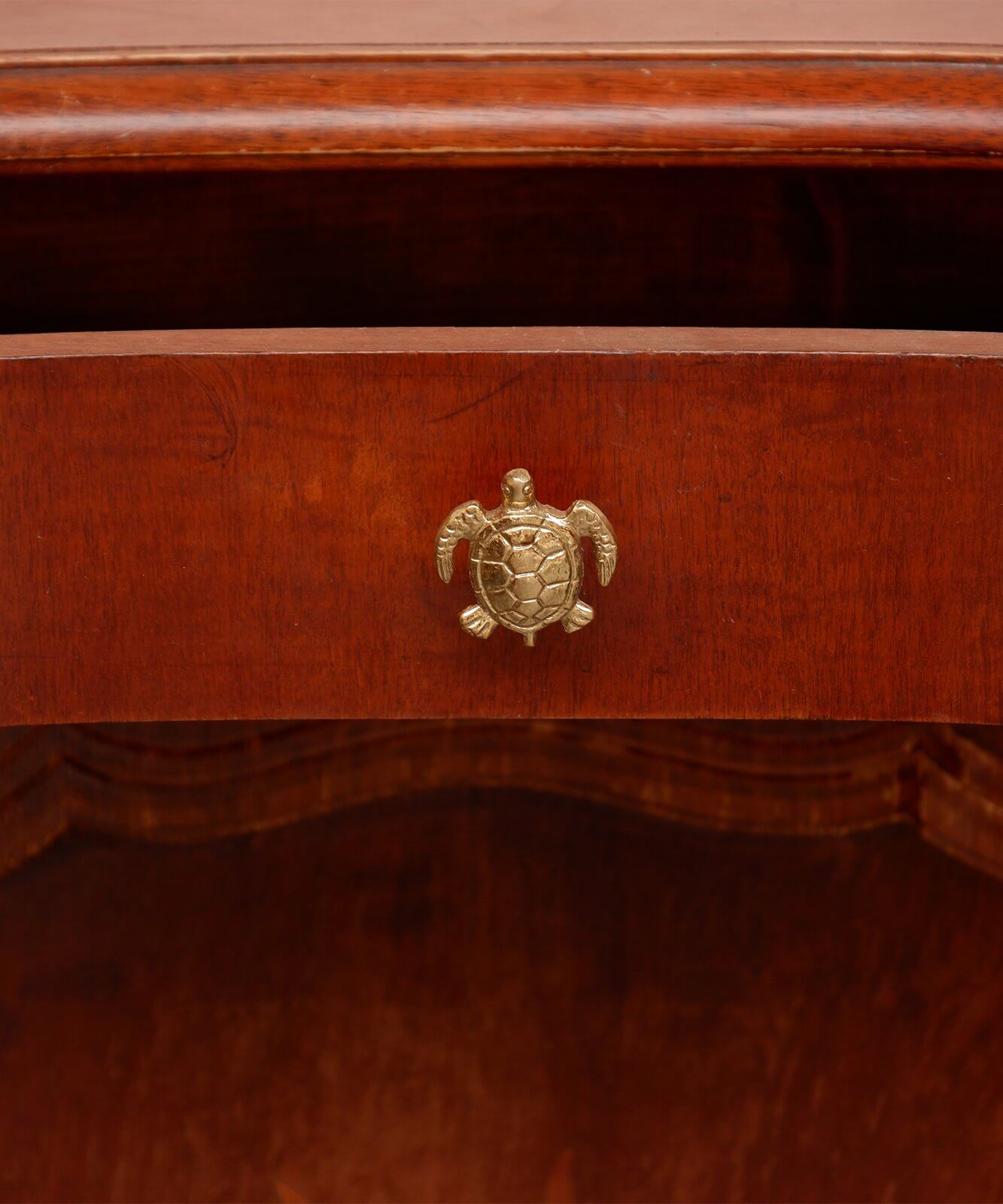 Tommy Turtle Knob