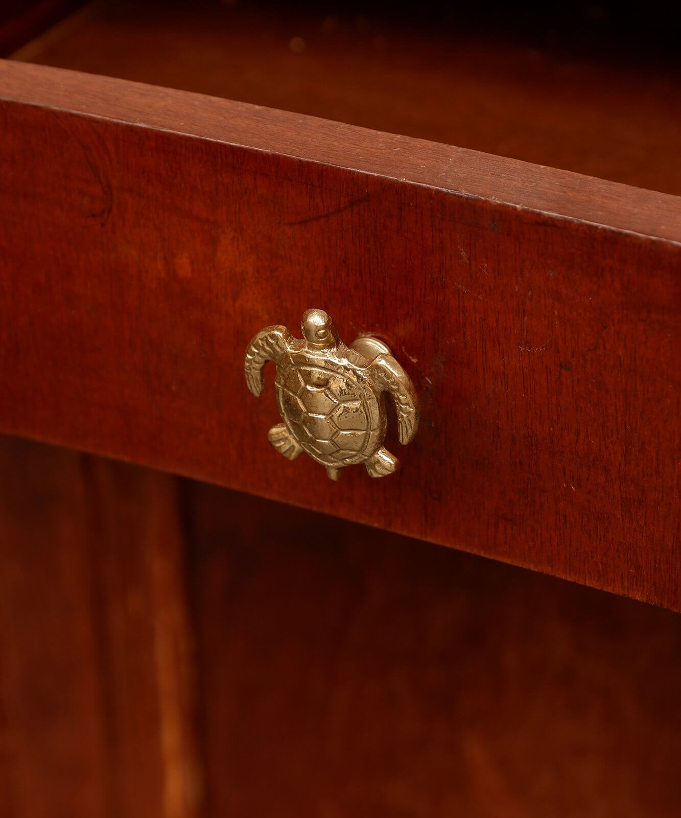 Tommy Turtle Knob