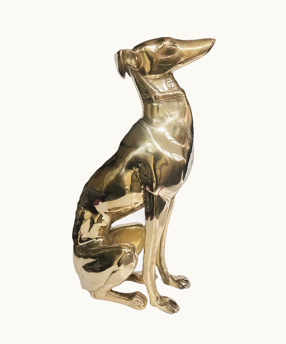 Georgio Greyhound Groot